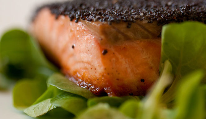 Daniel Edlund Organic Cooking